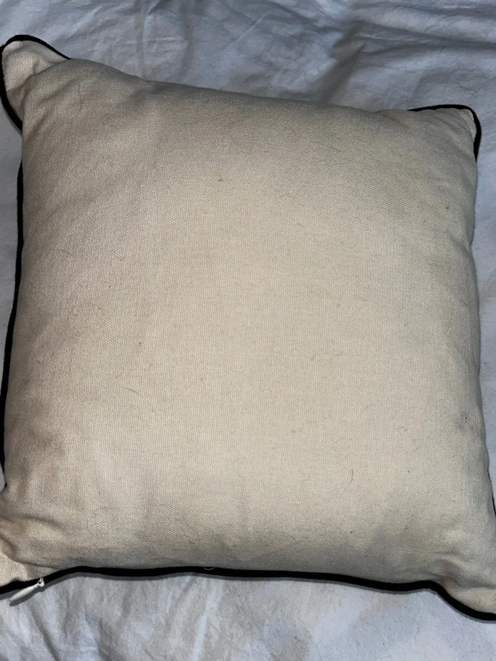 John Derian black gold Beaded embellished Skull & Bones Accent pillow 12